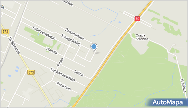 Gostynin, Kasztanowa, mapa Gostynin