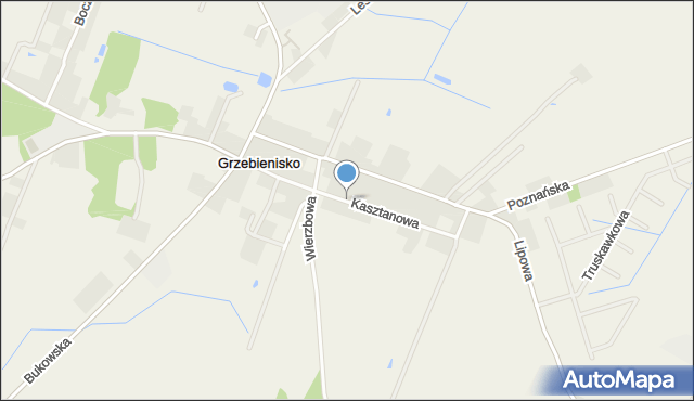 Grzebienisko, Kasztanowa, mapa Grzebienisko