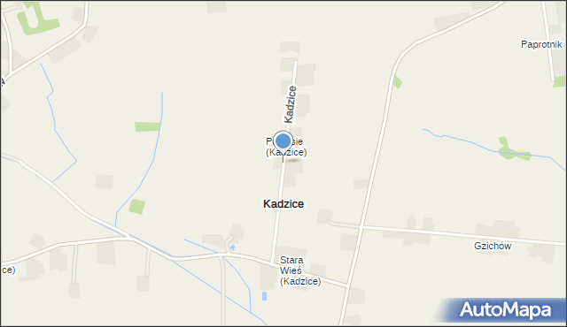 Kadzice, Kadzice, mapa Kadzice