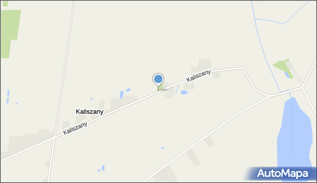 Kaliszany gmina Wągrowiec, Kaliszany, mapa Kaliszany gmina Wągrowiec