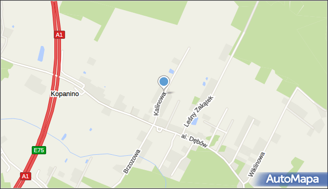 Kopanino gmina Lubicz, Kalinowa, mapa Kopanino gmina Lubicz