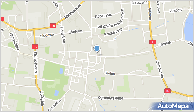 Krotoszyn, Kaliska, mapa Krotoszyna