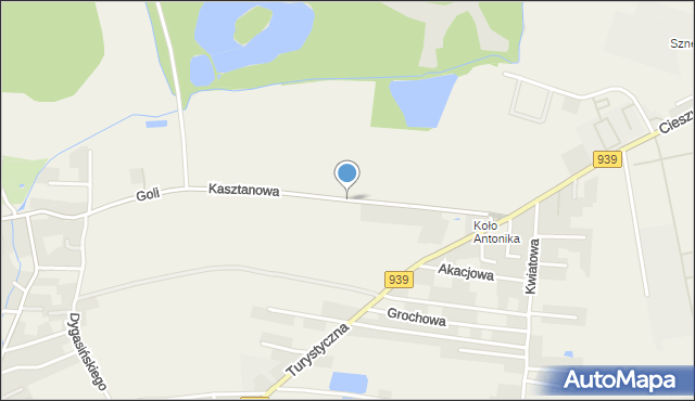 Łąka gmina Pszczyna, Kasztanowa, mapa Łąka gmina Pszczyna