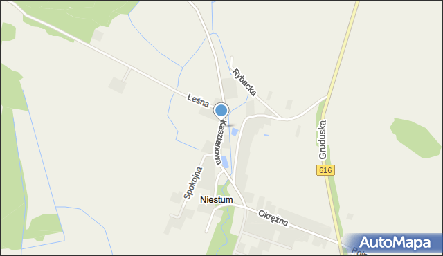 Niestum, Kasztanowa, mapa Niestum