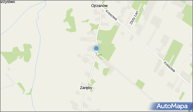 Ojrzanów gmina Żabia Wola, Kasztanowa, mapa Ojrzanów gmina Żabia Wola