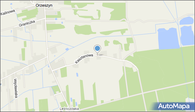 Orzeszyn, Kasztanowa, mapa Orzeszyn