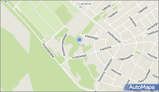 Poznań, Karskiego Jana, mapa Poznania