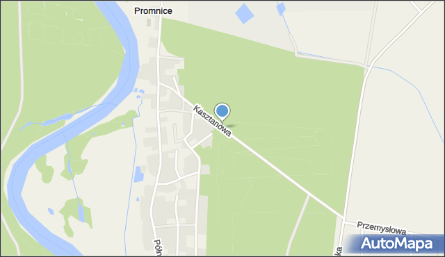 Promnice gmina Czerwonak, Kasztanowa, mapa Promnice gmina Czerwonak