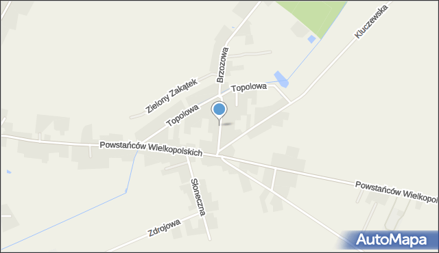 Przemęt, Kasztanowa, mapa Przemęt