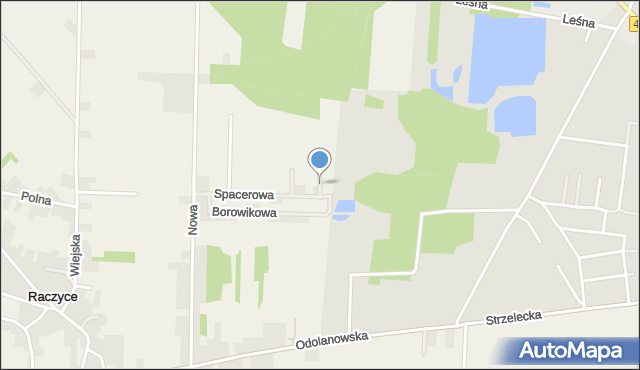Raczyce gmina Odolanów, Kaniowa, mapa Raczyce gmina Odolanów