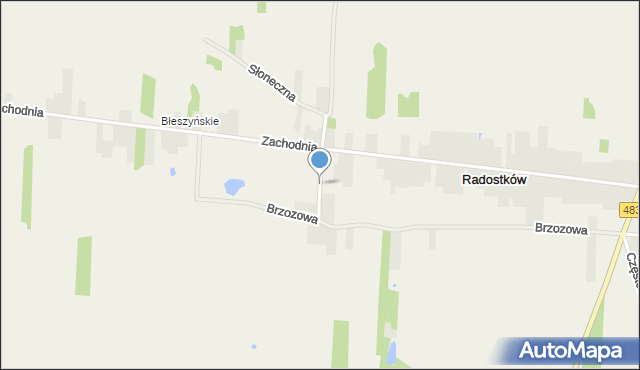 Radostków, Kasztanowa, mapa Radostków