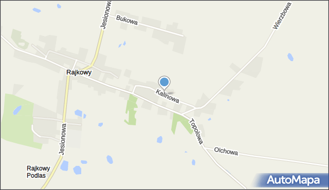 Rajkowy, Kalinowa, mapa Rajkowy