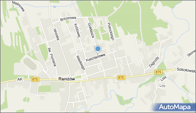 Raniżów, Kasztanowa, mapa Raniżów