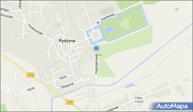 Rydzyna powiat leszczyński, Kasztanowa, mapa Rydzyna powiat leszczyński