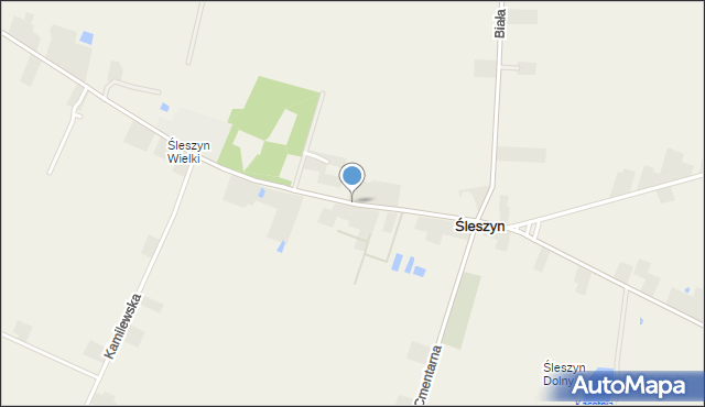 Śleszyn, Kasztanowa, mapa Śleszyn