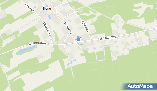 Słone gmina Świdnica, Kasztanowa, mapa Słone gmina Świdnica