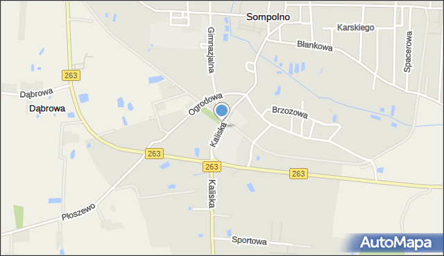 Sompolno, Kaliska, mapa Sompolno