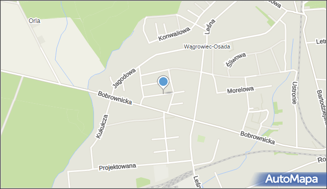 Wągrowiec, Kasztanowa, mapa Wągrowiec