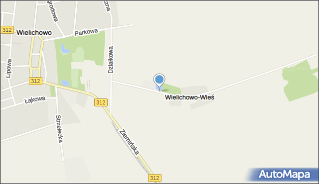 Wielichowo-Wieś, Kasztanowa, mapa Wielichowo-Wieś