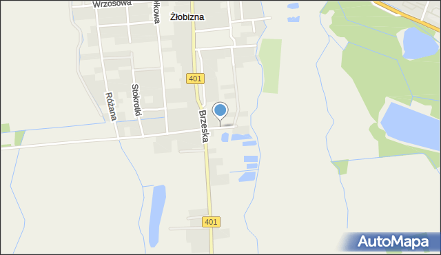 Żłobizna, Kalinowa, mapa Żłobizna