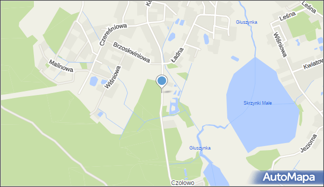 Borówiec gmina Kórnik, Kempingowa, mapa Borówiec gmina Kórnik