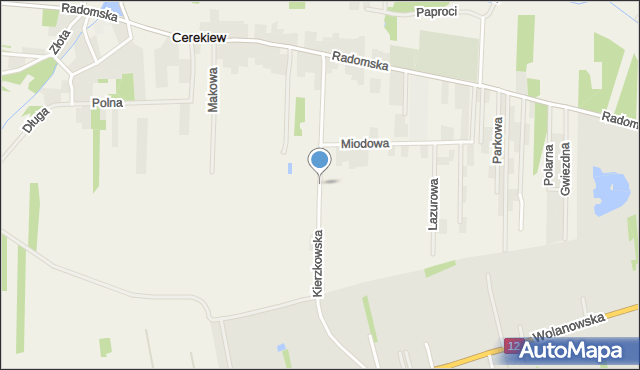 Cerekiew gmina Zakrzew, Kierzkowska, mapa Cerekiew gmina Zakrzew