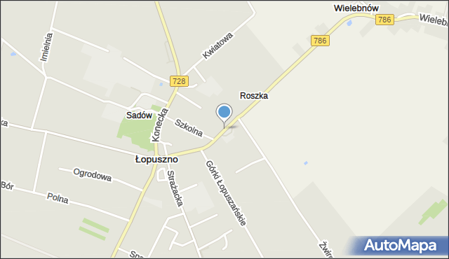 Łopuszno, Kielecka, mapa Łopuszno