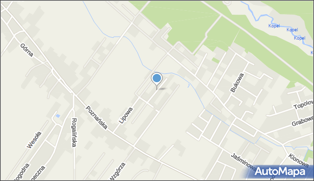 Daszewice gmina Mosina, Klonowa, mapa Daszewice gmina Mosina