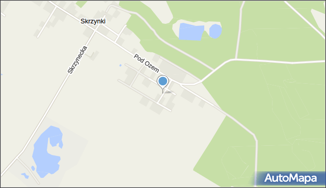 Skrzynki gmina Stęszew, Klonowa, mapa Skrzynki gmina Stęszew