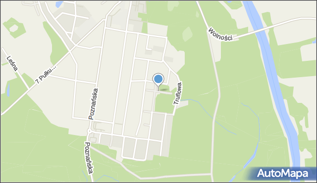 Biedrusko, Koźlakowa, mapa Biedrusko