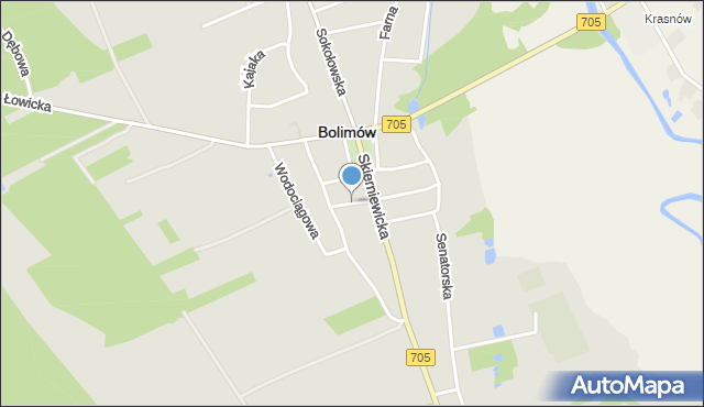 Bolimów, Kozia, mapa Bolimów