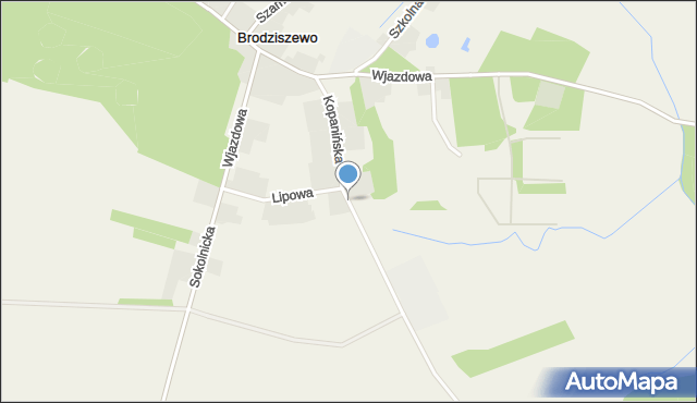 Brodziszewo, Kopanińska, mapa Brodziszewo