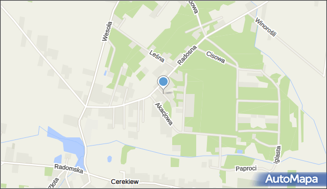 Cerekiew gmina Zakrzew, Konwaliowa, mapa Cerekiew gmina Zakrzew