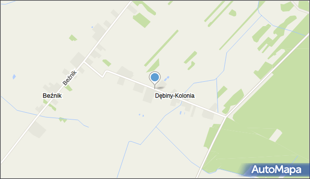 Dębiny gmina Przysucha, Kolonia Dębiny, mapa Dębiny gmina Przysucha