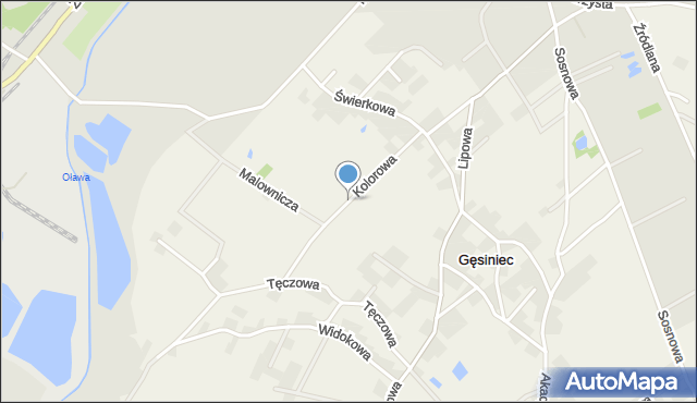 Gęsiniec, Kolorowa, mapa Gęsiniec