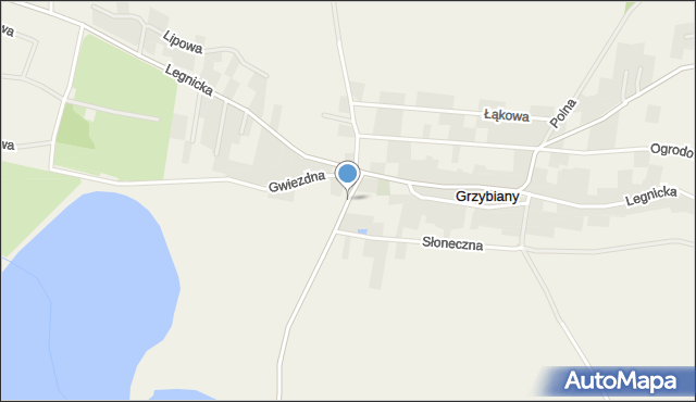 Grzybiany, Koskowicka, mapa Grzybiany