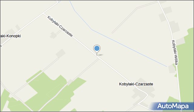 Kobylaki-Czarzaste, Kobylaki-Czarzaste, mapa Kobylaki-Czarzaste