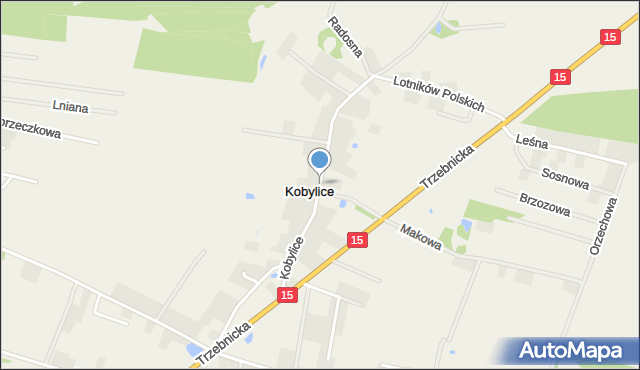 Kobylice gmina Trzebnica, Kobylice, mapa Kobylice gmina Trzebnica