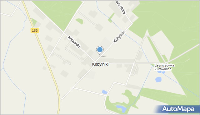 Kobylniki gmina Obrzycko, Kobylniki, mapa Kobylniki gmina Obrzycko