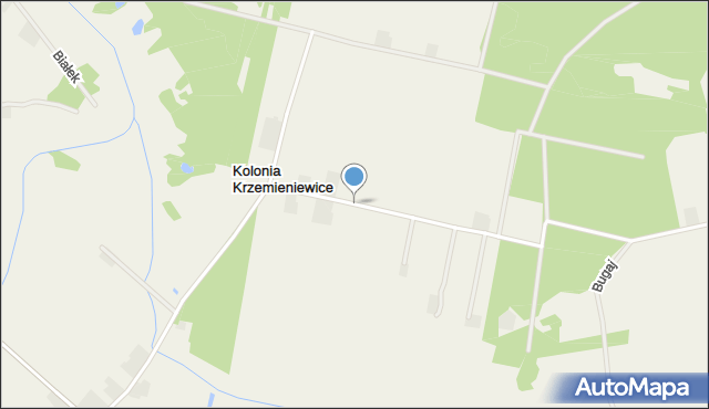 Kolonia Krzemieniewice, Kolonia Krzemieniewice, mapa Kolonia Krzemieniewice