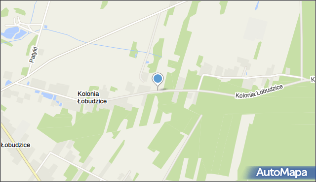 Kolonia Łobudzice, Kolonia Łobudzice, mapa Kolonia Łobudzice