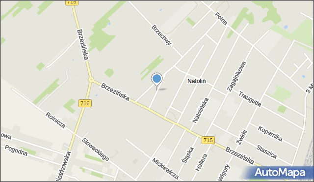 Koluszki, Kochanowskiego Jana, mapa Koluszki