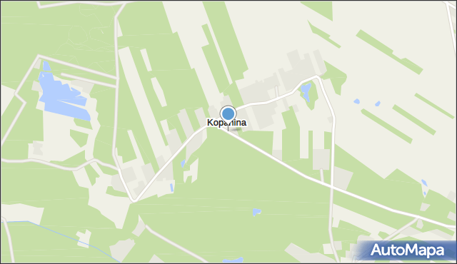 Kopanina gmina Staszów, Kopanina, mapa Kopanina gmina Staszów