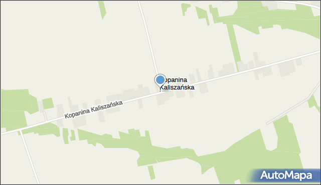 Kopanina Kaliszańska, Kopanina Kaliszańska, mapa Kopanina Kaliszańska