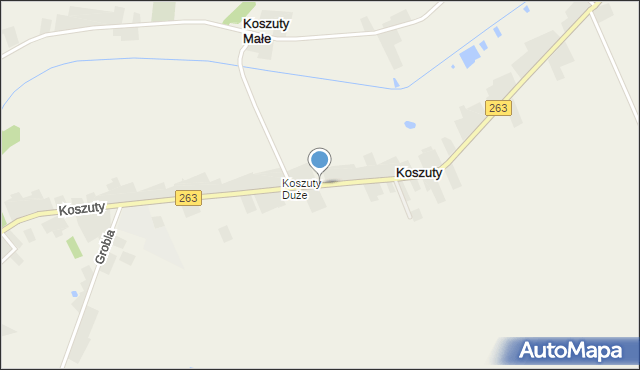 Koszuty gmina Słupca, Koszuty, mapa Koszuty gmina Słupca