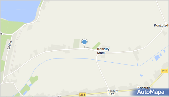 Koszuty Małe, Koszuty Małe, mapa Koszuty Małe