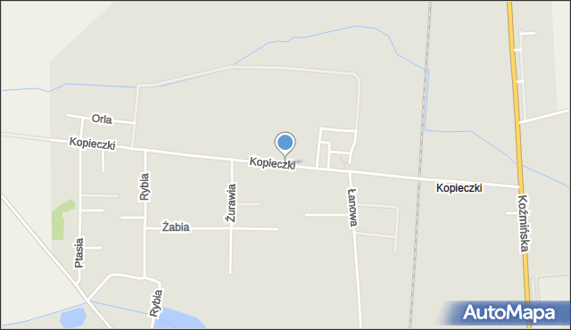 Krotoszyn, Kopieczki, mapa Krotoszyna