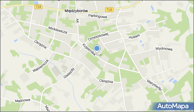 Międzyborów, Kopernika Mikołaja, mapa Międzyborów