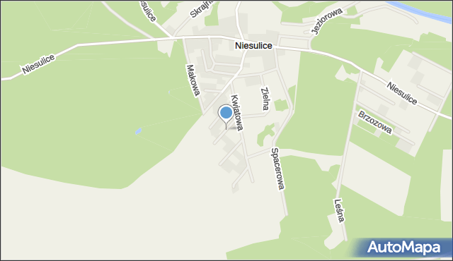 Niesulice, Konwaliowa, mapa Niesulice