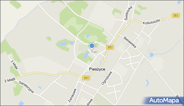 Pieszyce, Kościelna, mapa Pieszyce